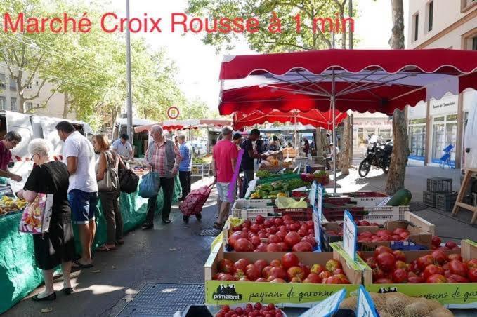 Le Croix Rousse Jacquard Lägenhet Lyon Exteriör bild